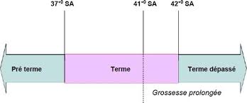 grossesse prolongée