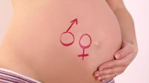 sexe du bébé sexe du bébé