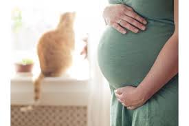 toxoplasmose grossesse